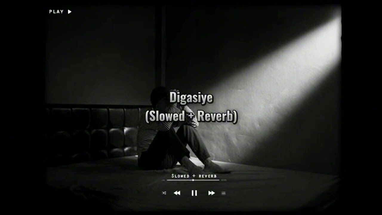 Digasiye (Slowed + Reverb)/Ms vibes1.0