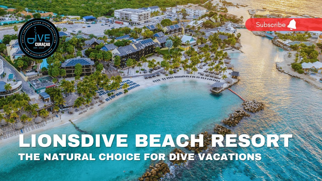 LionsDive Beach Resort Cura&ccedil;ao: The Best Caribbean Eco-Diving Resort | Dive Travel Curacao