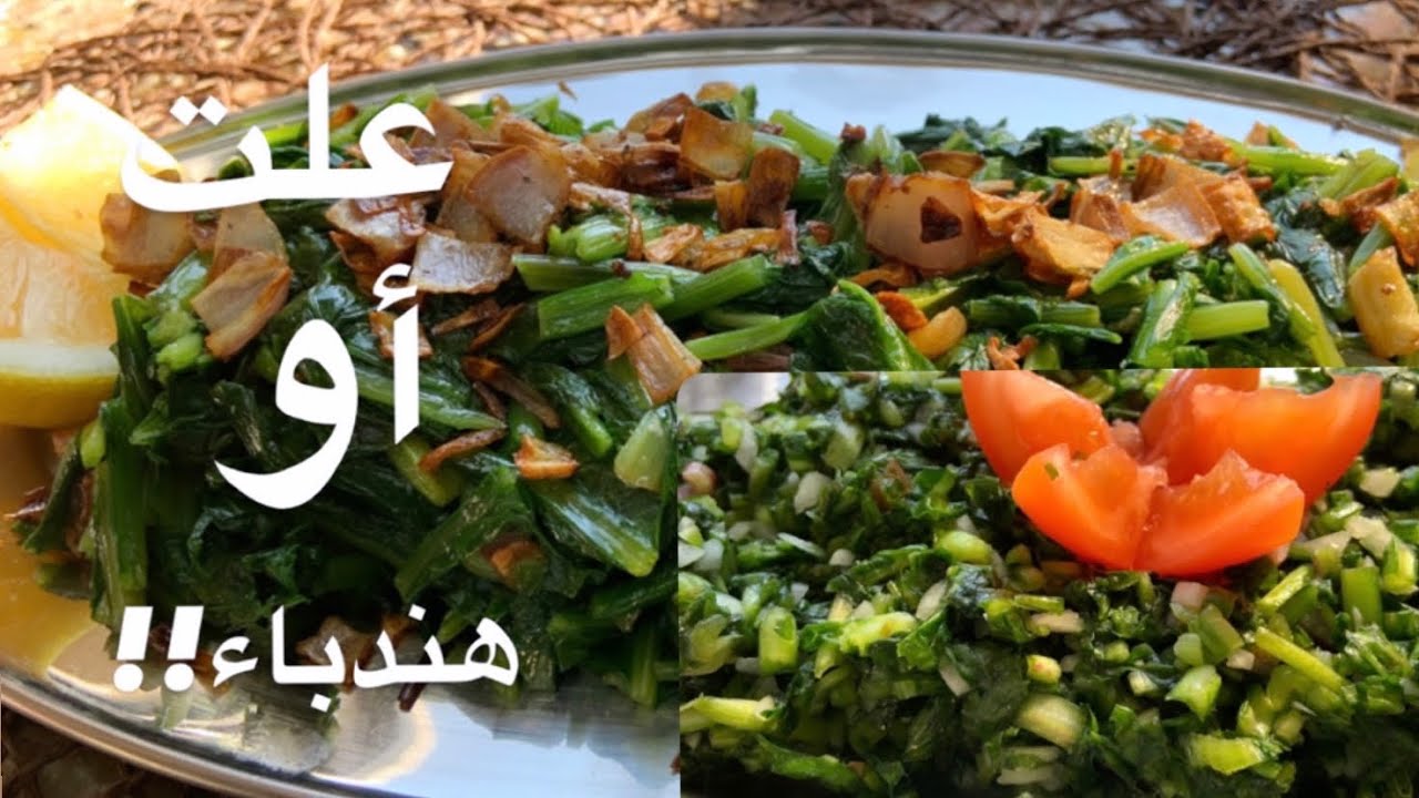 سلطة العلت (الهندبة) و المعصر الطريقتين ما في افضل من طعمهم👌