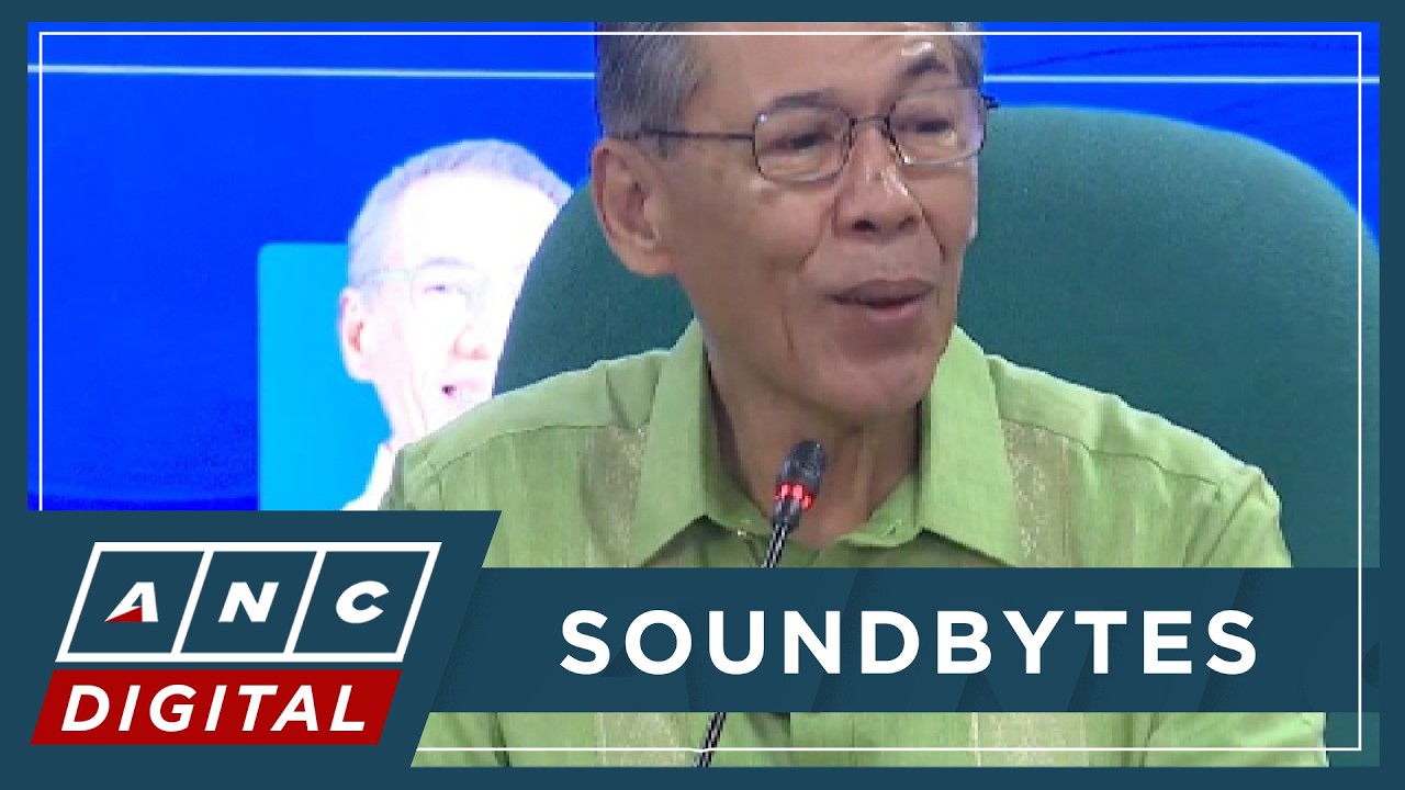 Diokno: Experience helped during 'challenging' oral arguments on VP Sara records | ANC
