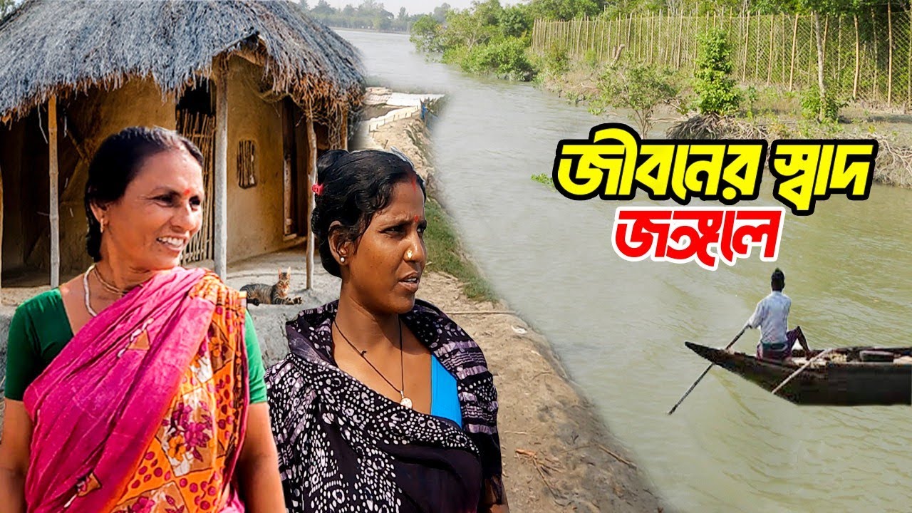 বাঘের চেয়ে নোনা জল এখানে বেশি বিপদজনক হয়ে উঠেছে |  sundarban core area | tiger forest