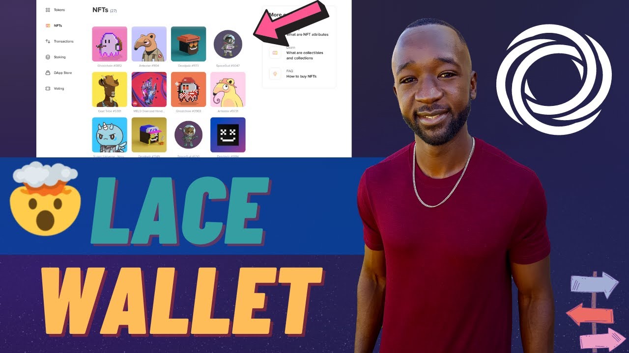 Lace Wallet - The BEST Cardano Light Wallet Available (FULL Guide & Review)