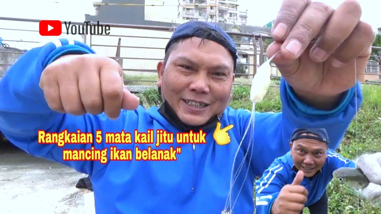 Mancing belanak pake rangkaian 5 mata kail