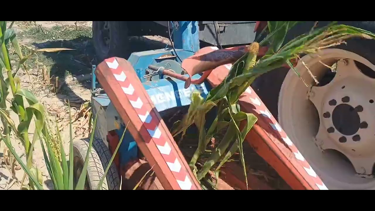 Ursus c355 mengele mb200 akcija počinje silaza 2025