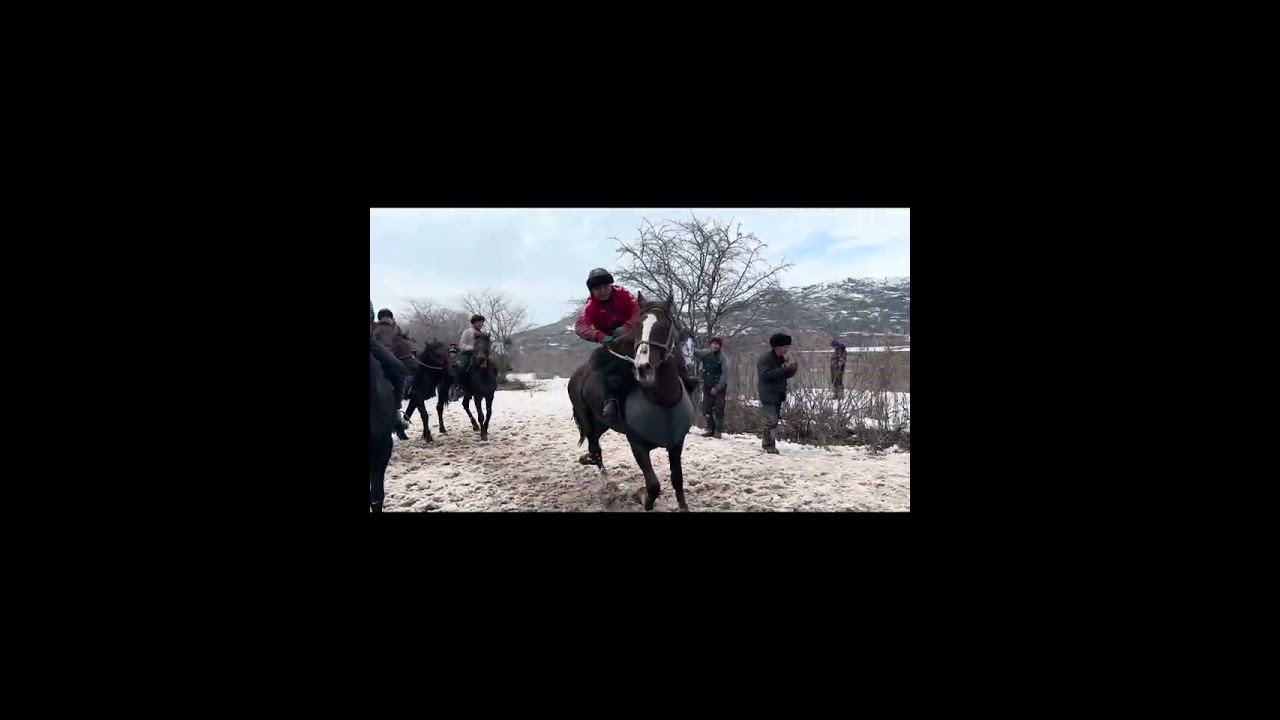 Жалал-Абад Манас Шаары Канжыга Айылы ынтымак улагы 15.02.2026