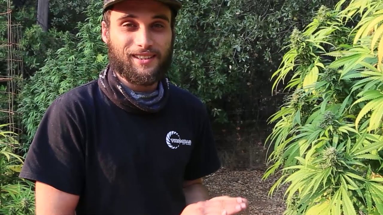 Flo talks Dyna-Gro!