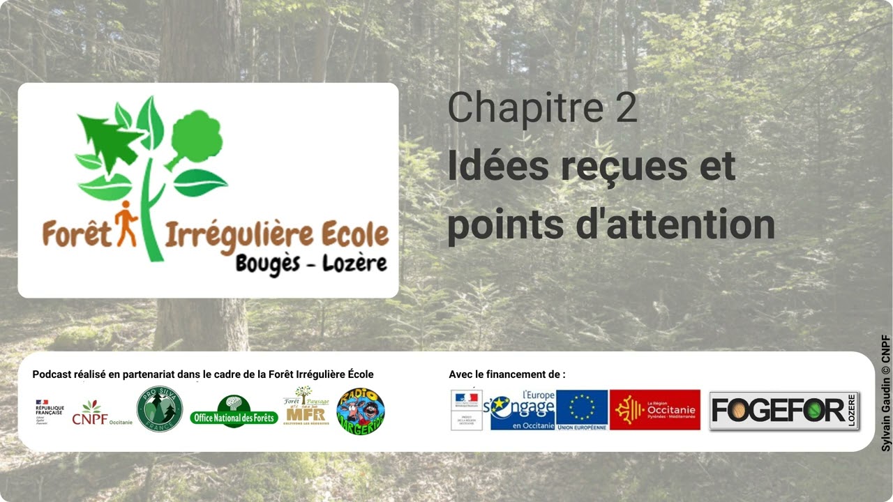 Podcast SMCC - Chapitre 2.2 - Idées reçues et points d'attention - 5/12