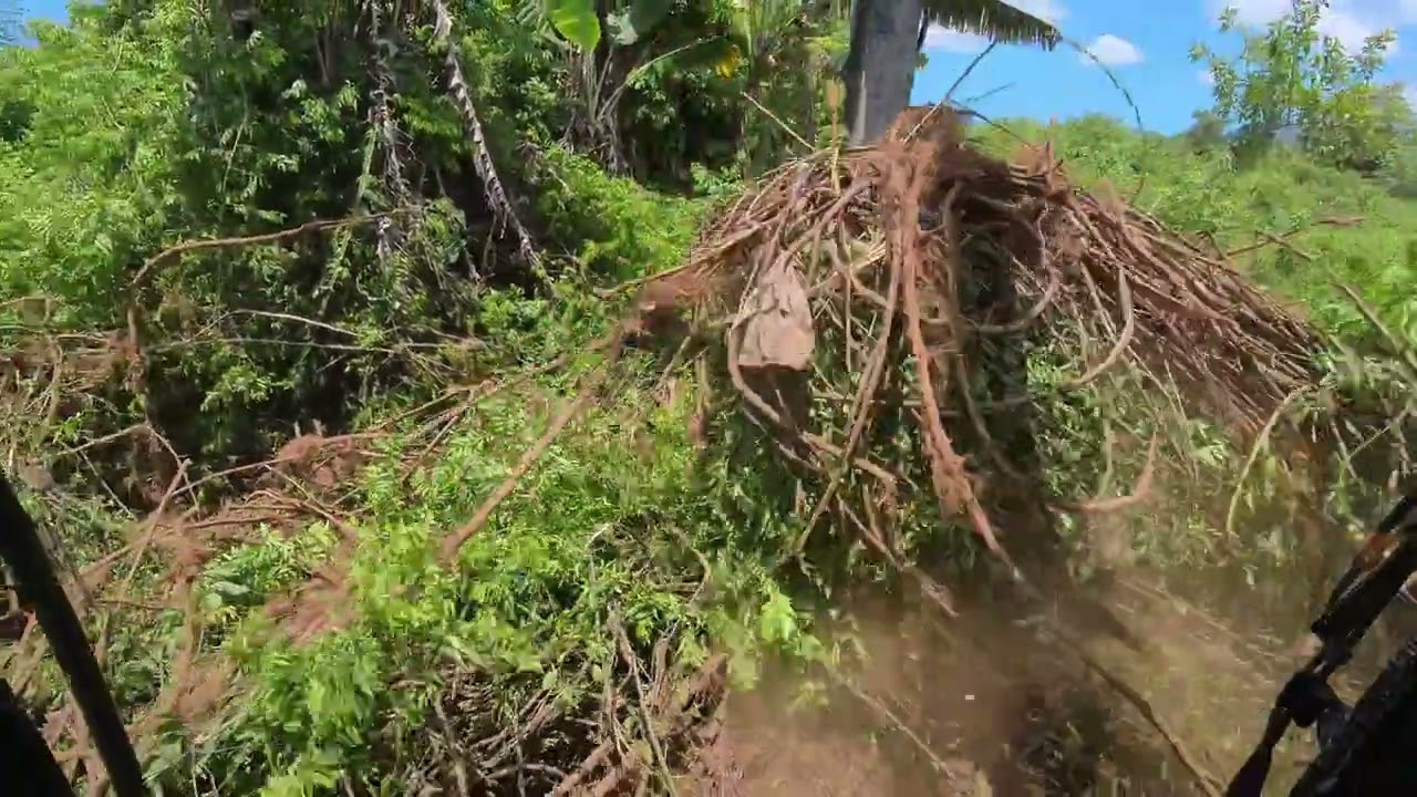 começando mais um pedaço de limpeza