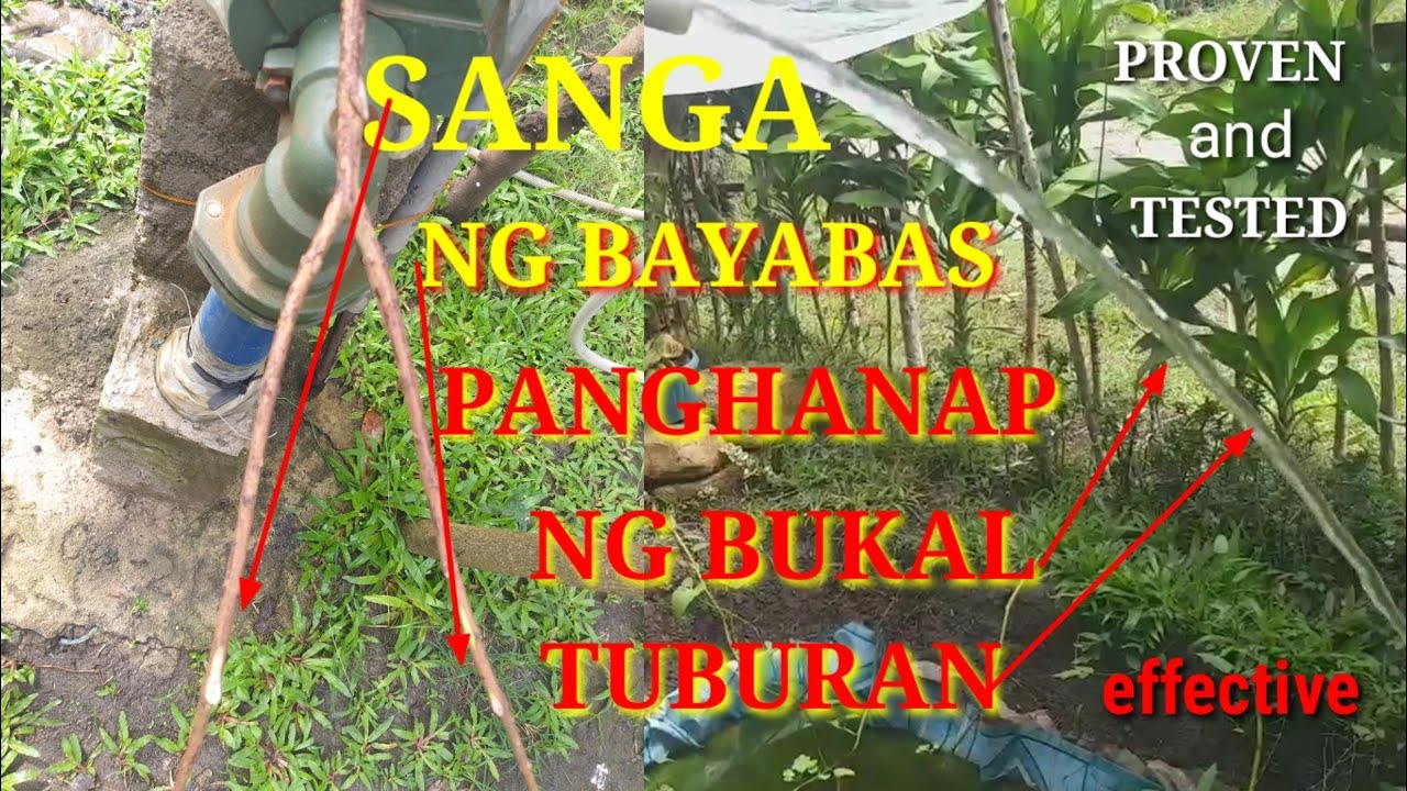 SANGA! Gamit sa paghahanap ng Bukal! | Tuburan ng Tubig sa Ilalim ng Lupa | CaRamilTV