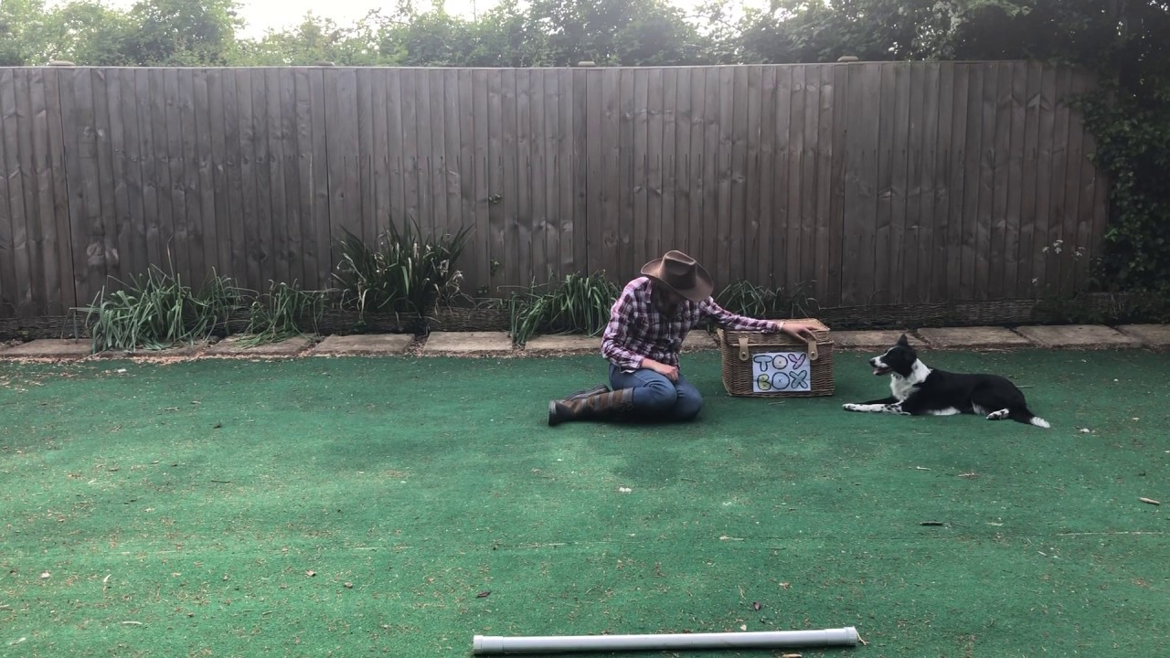 Freestyle pairs routine to You got a friend in me
