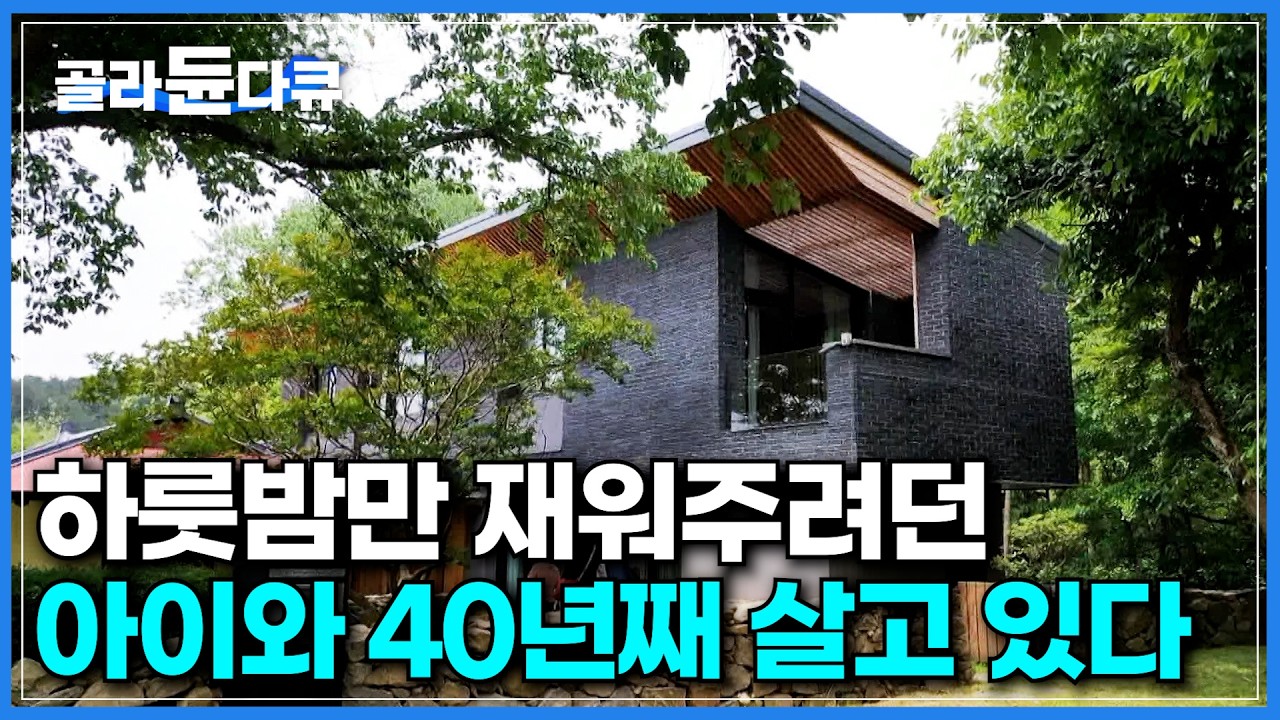 왜 그녀는 미국행을 뿌리치고 이 집을 택했을까?｜자연과 정말 하나가 된 산골짜기에 자리 잡은 집｜하룻밤만 재우자던 딸과 같이 산 지 40년 ｜건축탐구 집｜#골라듄다큐