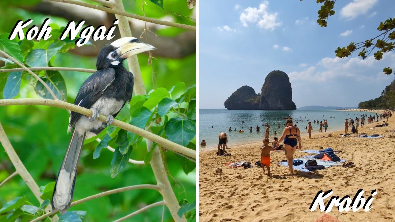 Südthailand: Koh Ngai vs. Krabi - Robinson Crusoe trifft Touristenhochburg