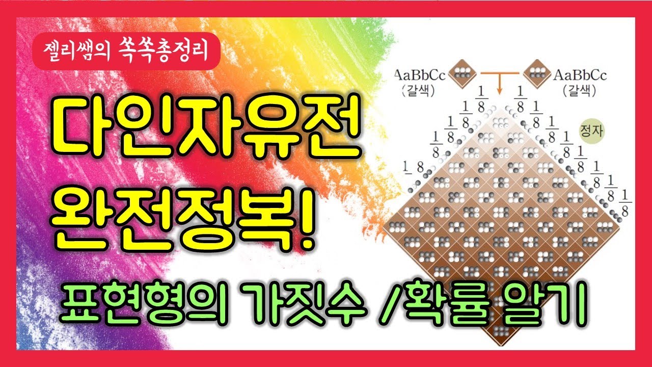 다인자유전 완전정복! - 자손의 표현형 가짓수, 확률 알아내기