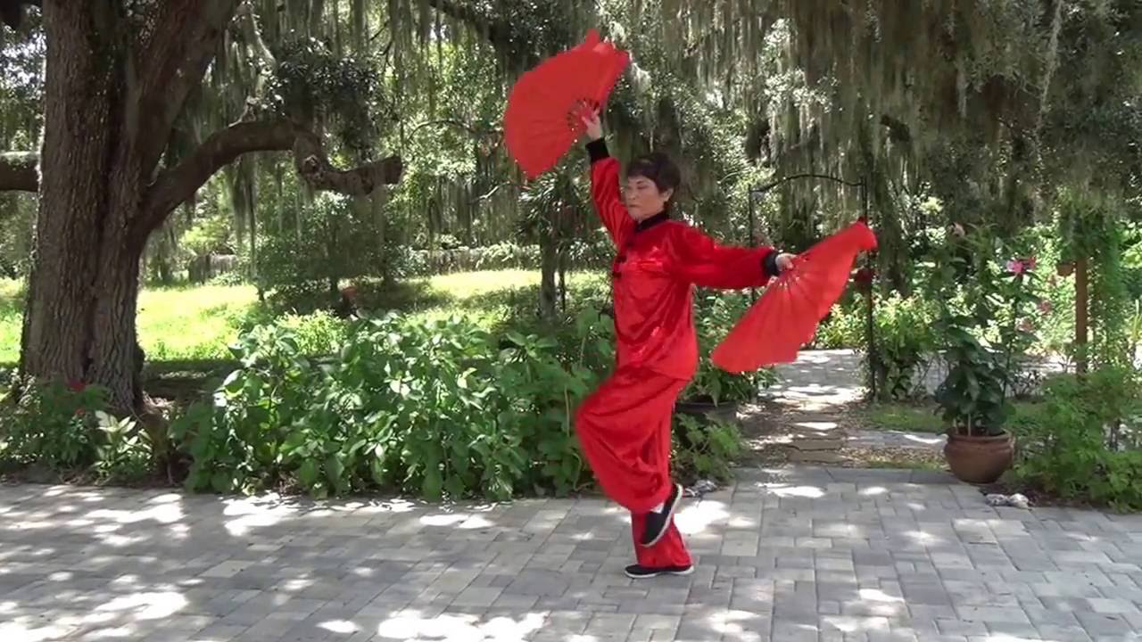 Tai Chi Double Fan - By Dr. Aihan Kuhn (Preview)