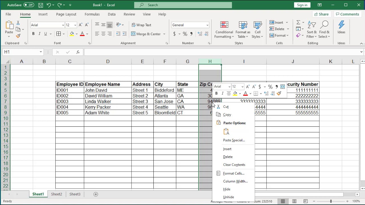 How to display Zip Codes, Telephone Numbers and SSN in proper format in Excel - Office 365