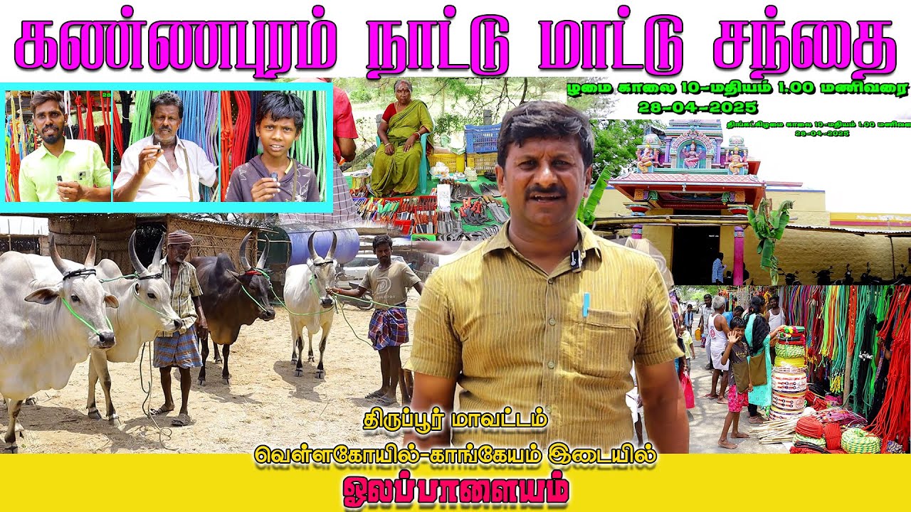 கண்ணபுரம் நாட்டு மாட்டு சந்தை 28 ஏப்ரல் 2025 #kannapuram