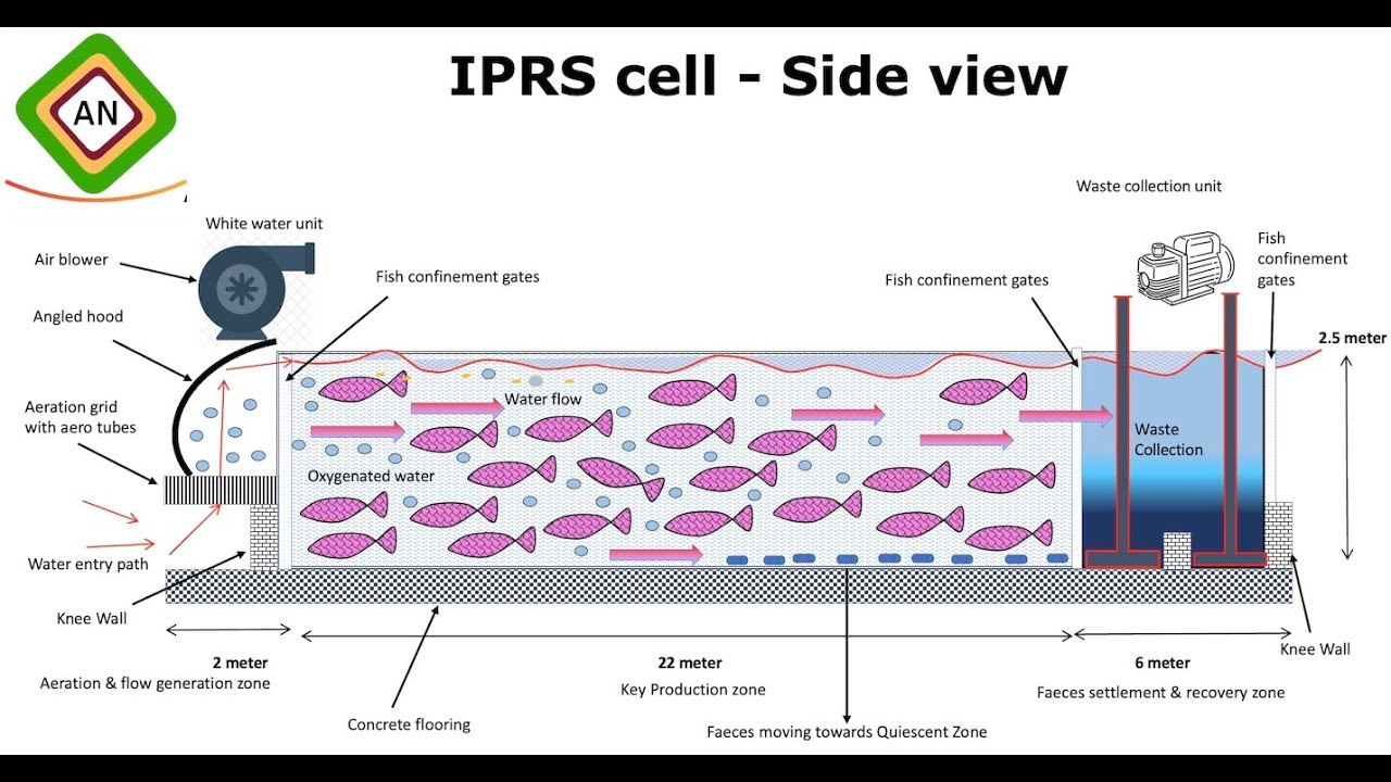 In-Pond Raceway System - IPRS