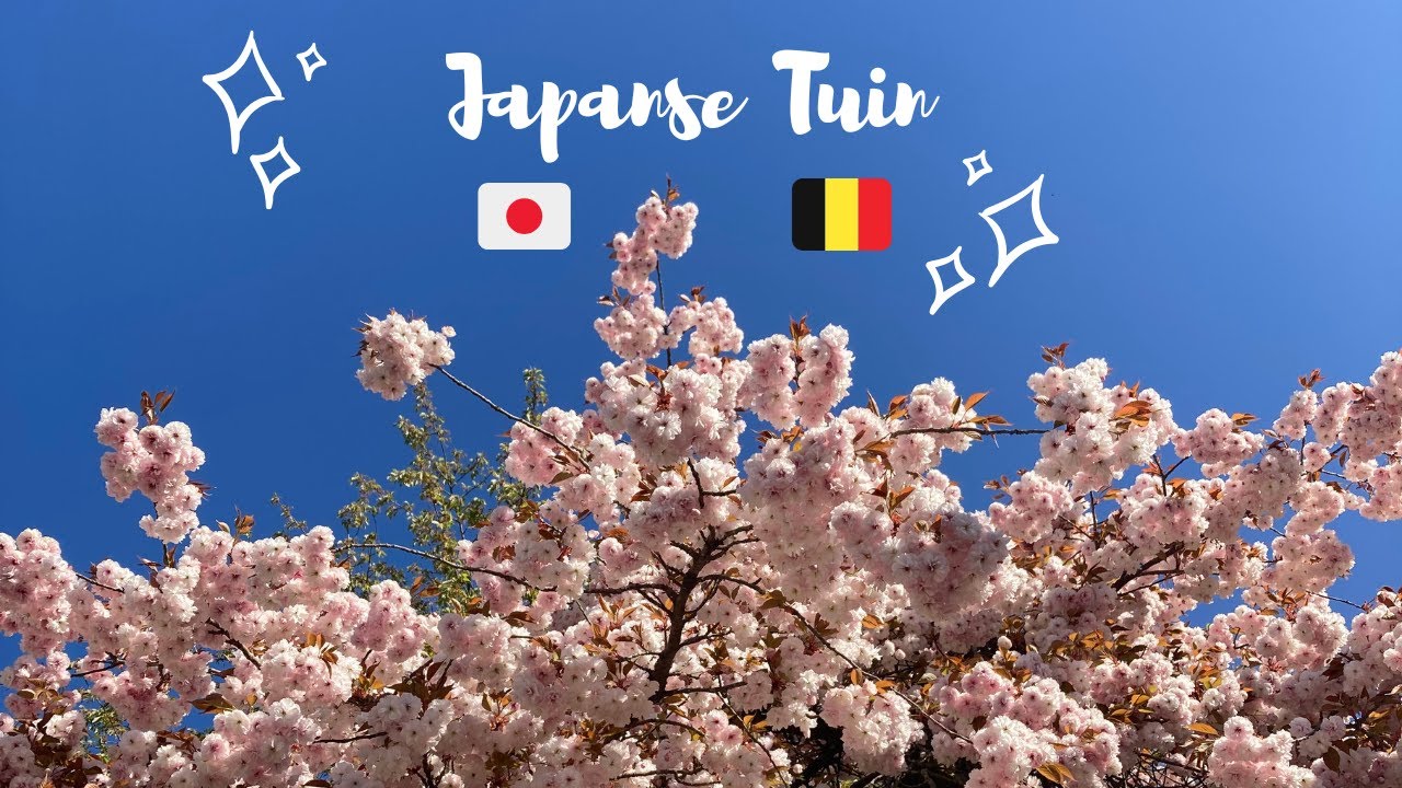SPRING IN BELGIUM | Japanse Tuin in Hasselt