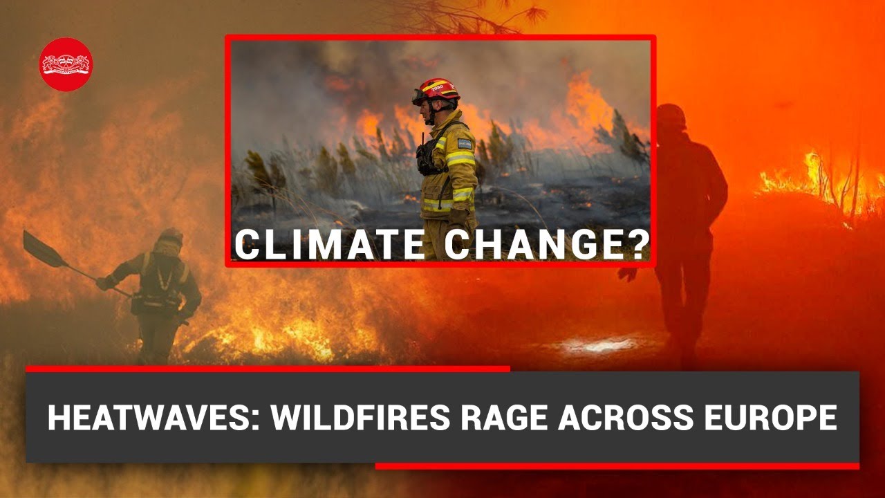 Heatwaves: Wildfires rage across Europe; National Emergency declared in UK