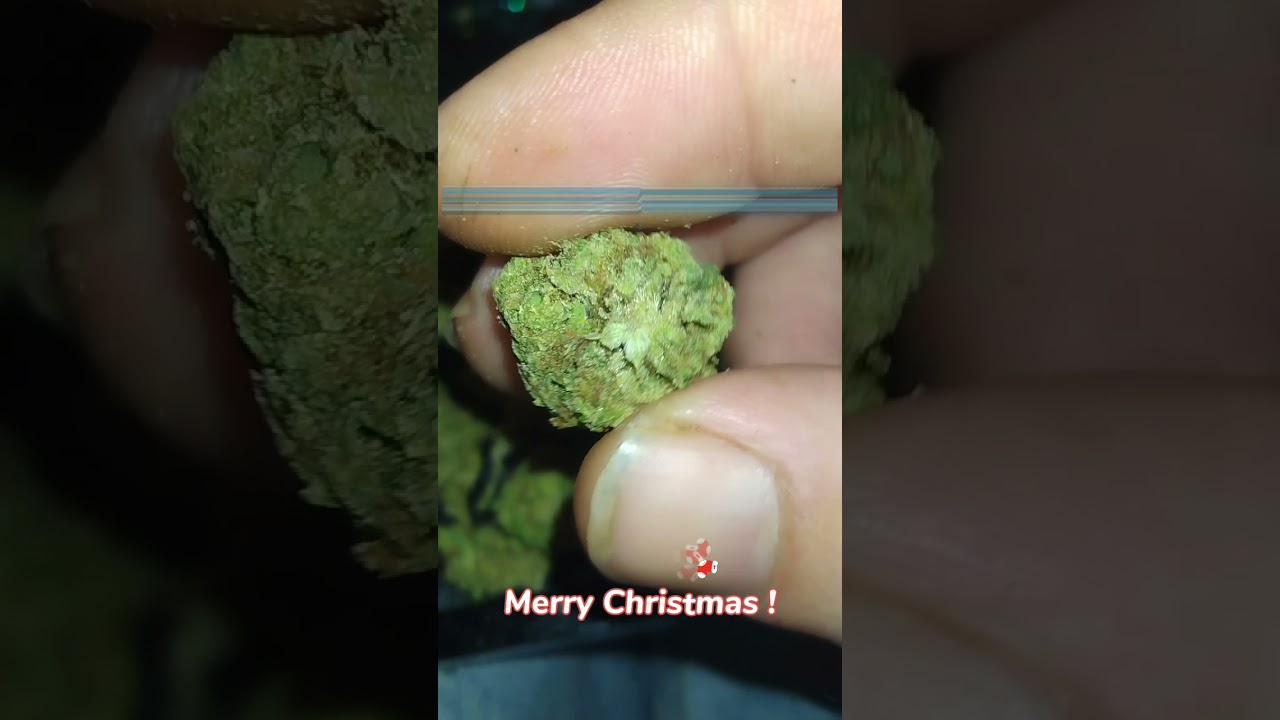 Blue Dream Kush