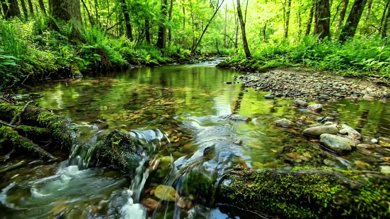 Stream Flow and Birds Singing, Nature Ambience for Relaxation, Deep Sleep and Gentle ASMR