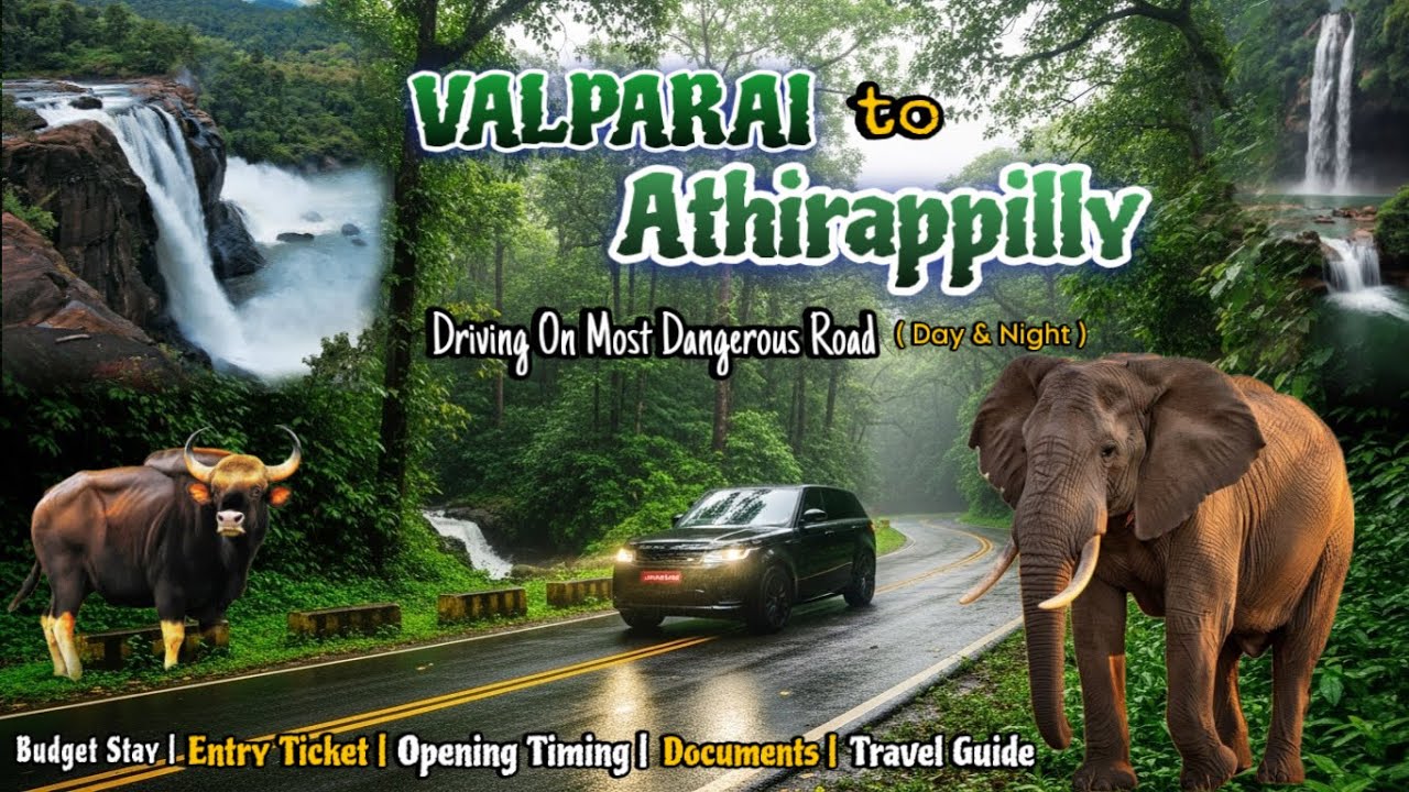 VALPARAI - ATHIRAPPILLY 🐘Most Thrilling Road Trip ⚠️Elephants Spotted / Stay |Transport /TravelGuide