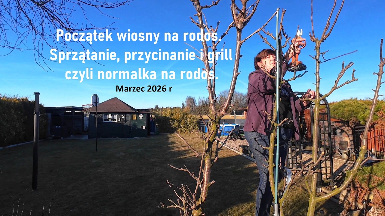 Nasze rodos cz.99  Wiosna - sprzątanie, przycinanie i grill czyli normalka na rodos. Marzec 2026 r