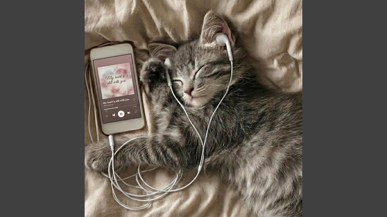 My heart is still with you