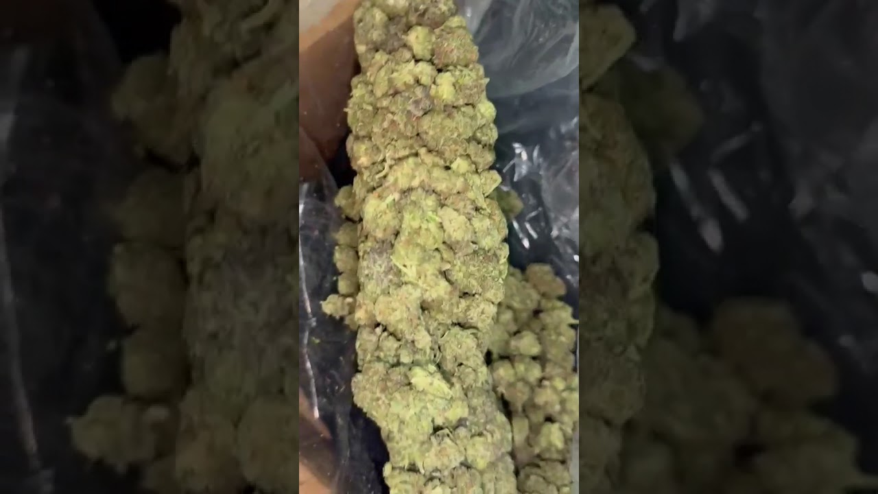 Wholesale THCA Flower &ldquo;Price Reality Check&rdquo; (2026): what tiers really cost and why