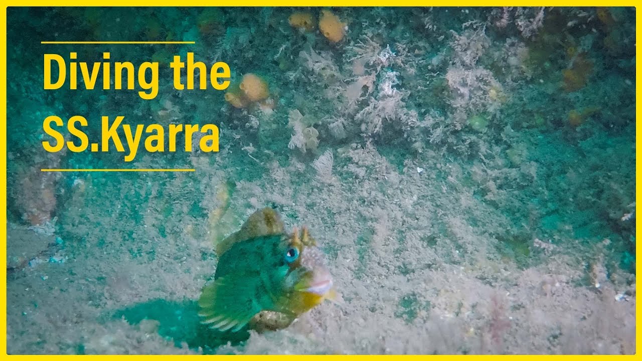 Diving the SS Kyarra, Swanage. July '21