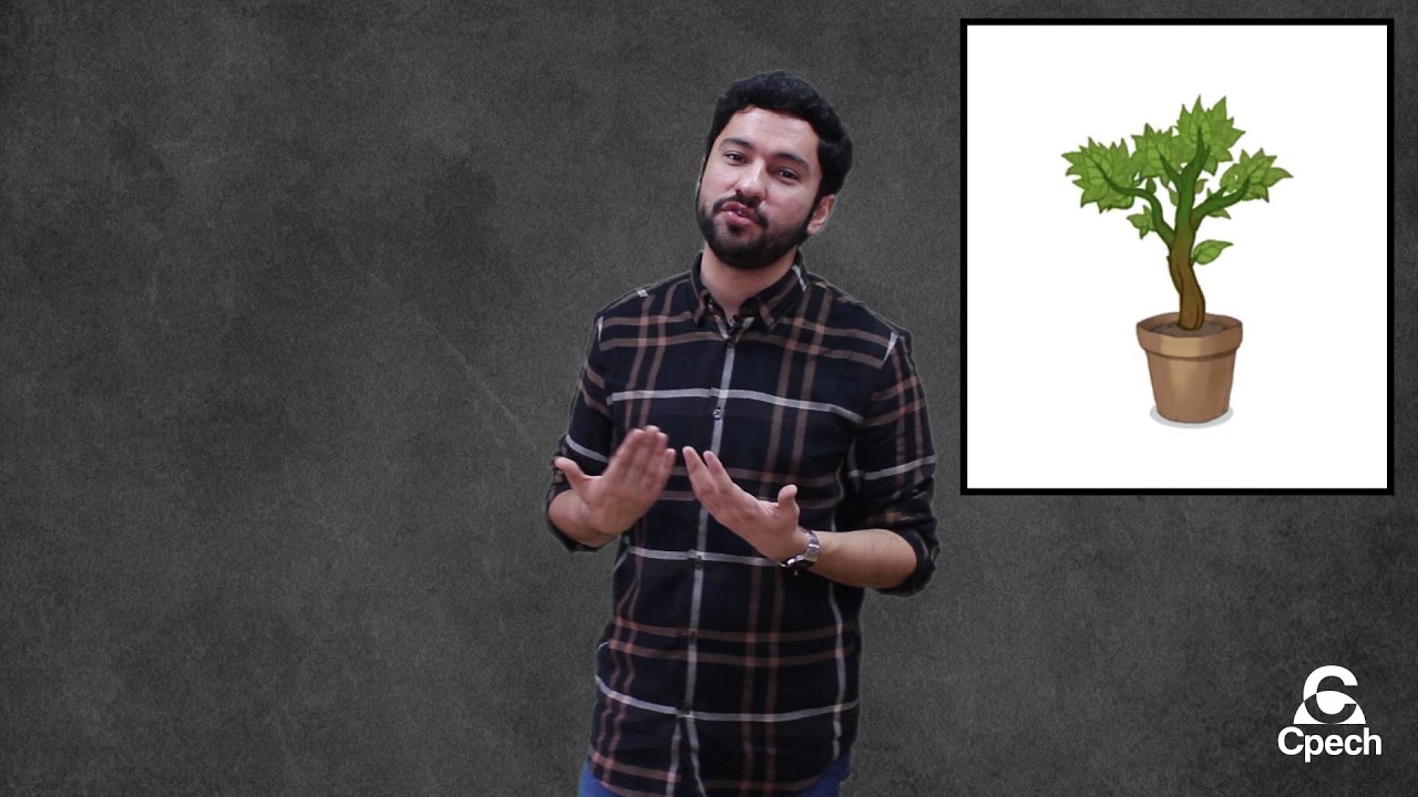 La Reforma agraria en Chile (Siglo XX) - YOUTUBER HISTORIA Y CS. SOCIALES PREUNIVERSITARIO CPECH