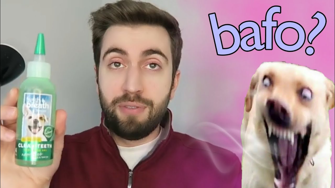 SEU CACHORRO TEM MAU HÁLITO? Pode ser que ele tenha isso... | Fresh Breath
