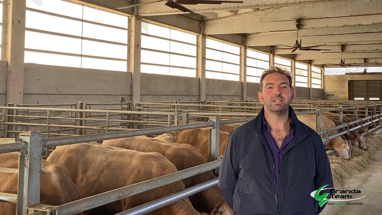 INNOVAZIONE,SOSTENIBILITA’,BENESSERE nella filiera carne. L'esperienza dell'azienda Pecchio Silvano.
