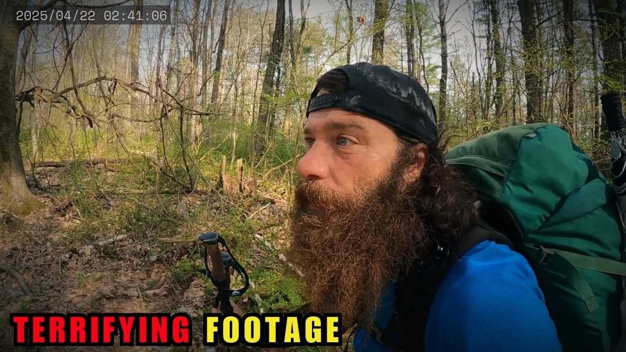 28 Most DISTURBING Wild Animal Encounters Caught On Camera | Ep115