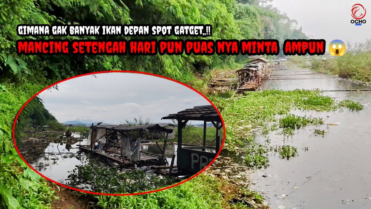 Ke Tiga Pemancing di spot pinggiran ini saling berbalas strike 😱 || Mancing Cirata Terbaru
