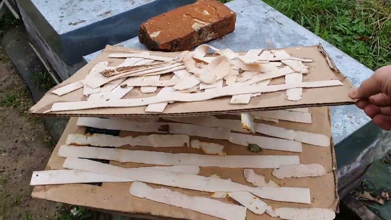 Tratam primavara cu OxiPlus?