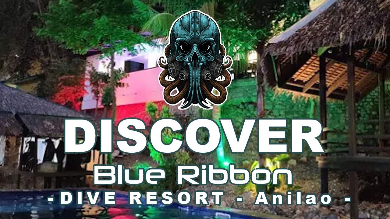 Discover Blue Ribbon Dive Resort – Anilao’s Ultimate Diving Destination | Filmed by Gary Tyson