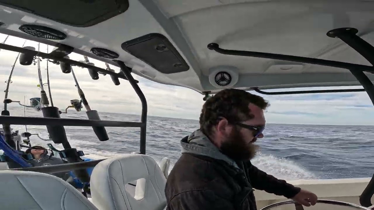 Choppy trip on the eastward horizon 3000