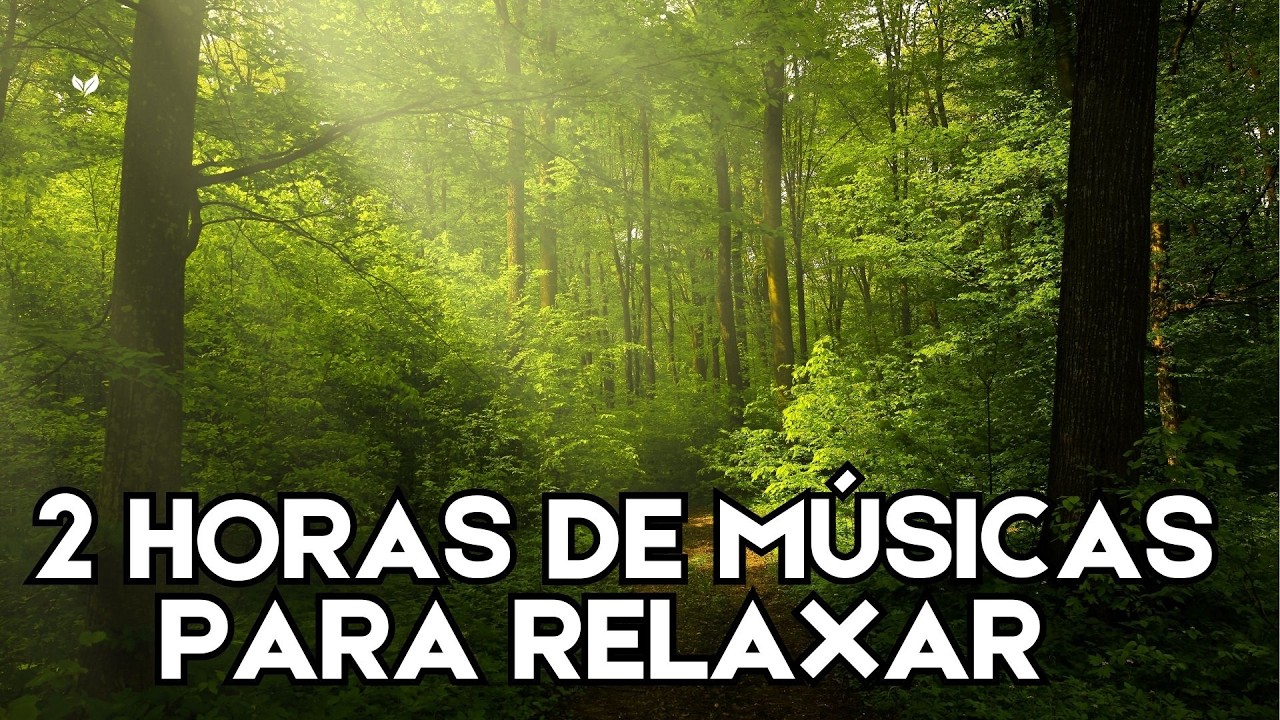 Músicas que Acalmam a Mente e Renovam a Alma 2 HORAs DE MÚSICA PRA RELAXAR