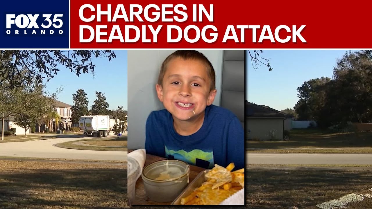 LIVE: Florida sheriff announces charges in deadly dog attack