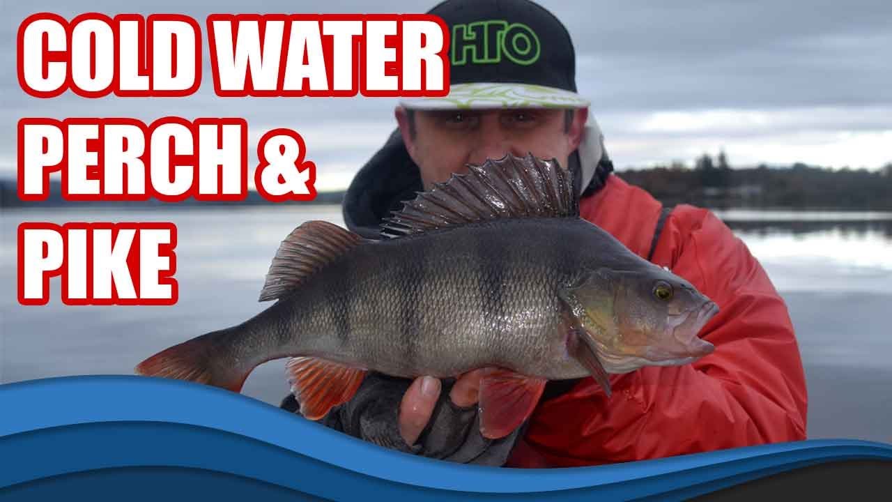 Lure Fishing For Cold Water Perch and Pike!