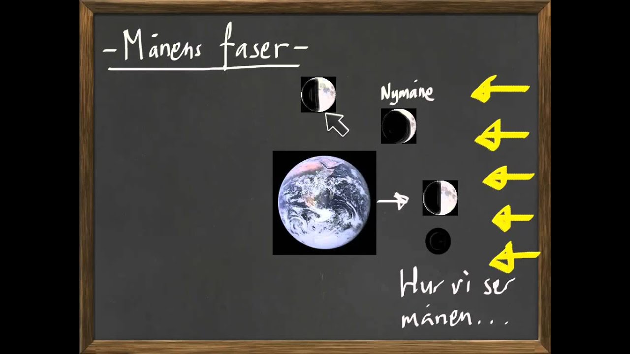 Månens faser