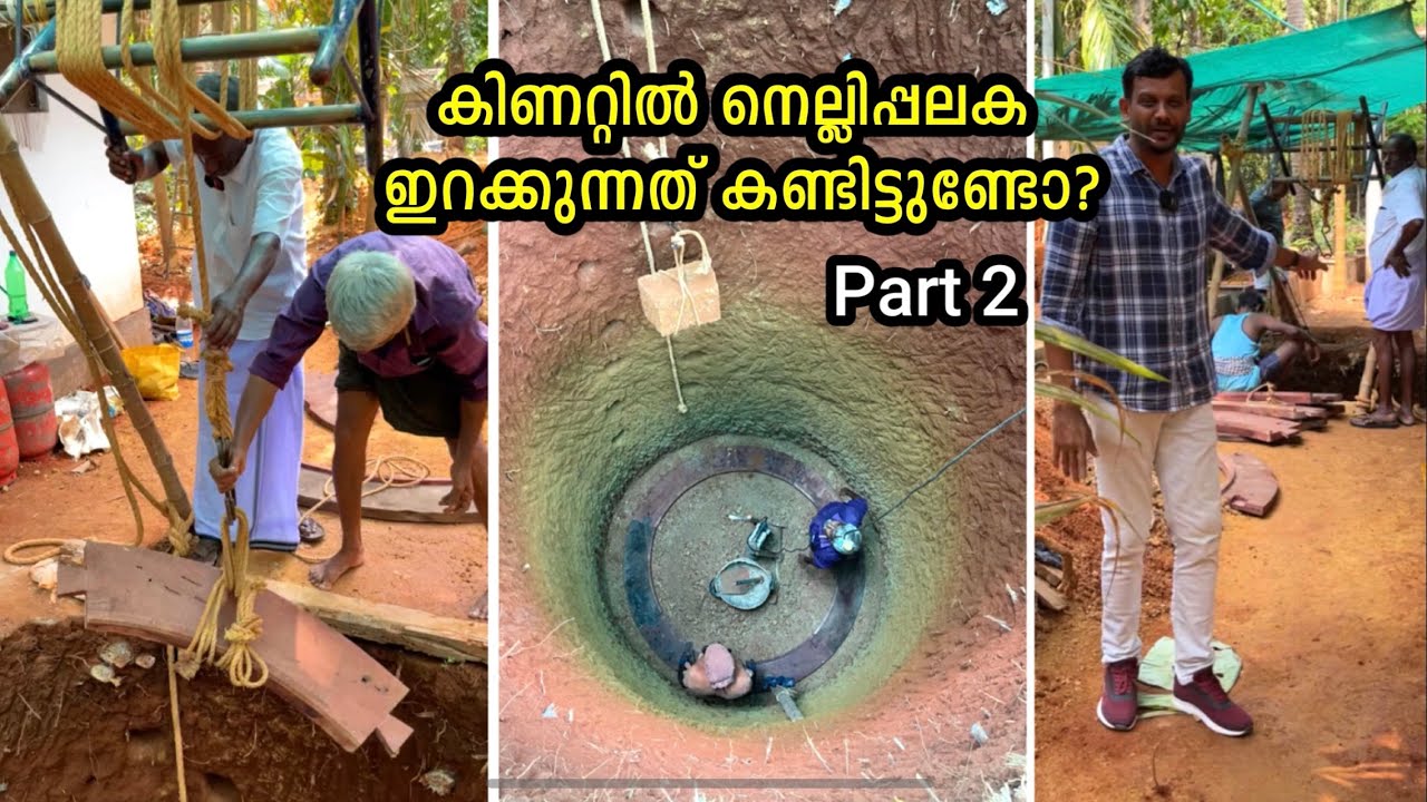 കിണറ്റിൽ നെല്ലിപ്പലക ഇറക്കുന്നത് കണ്ടിട്ടുണ്ടോ? Nelli palaka | Nelli padi