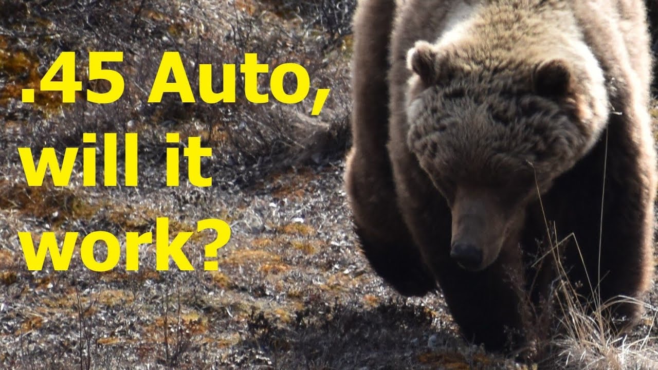 45 Auto для защиты от медведей