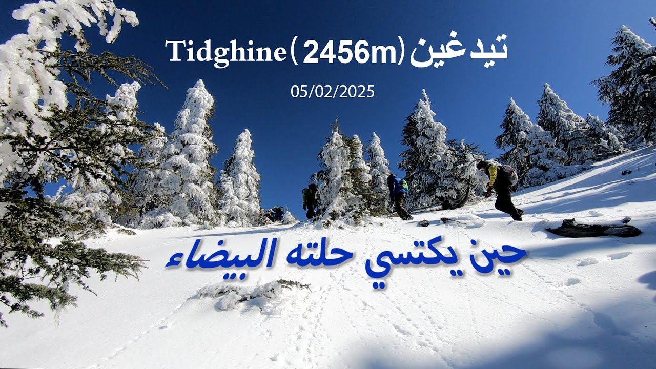 Ascension du Mont Tidghine/ Maroc (2456m) 05-02-2025 صعود جبل تدغين/ المغرب
