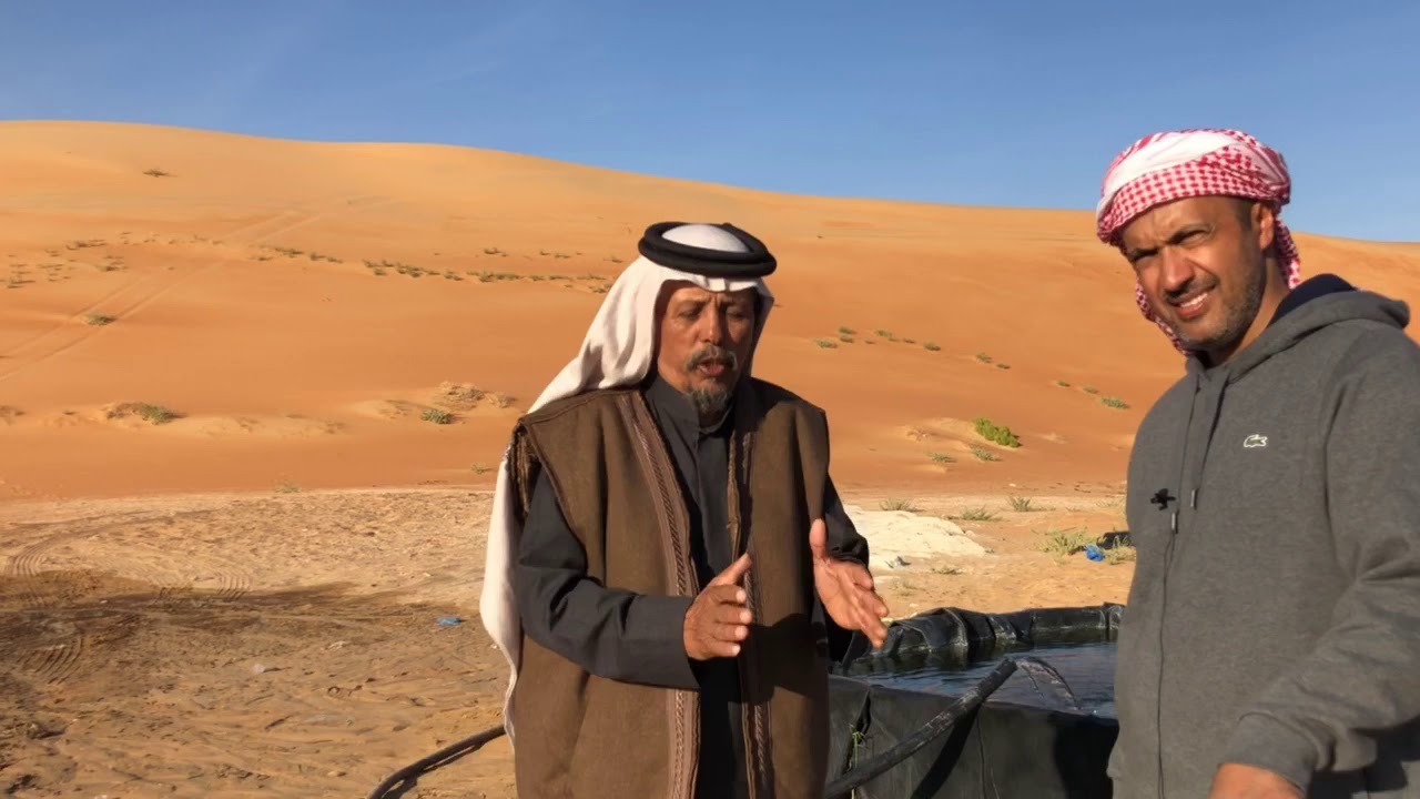 الذهب يفور في الربع الخالي