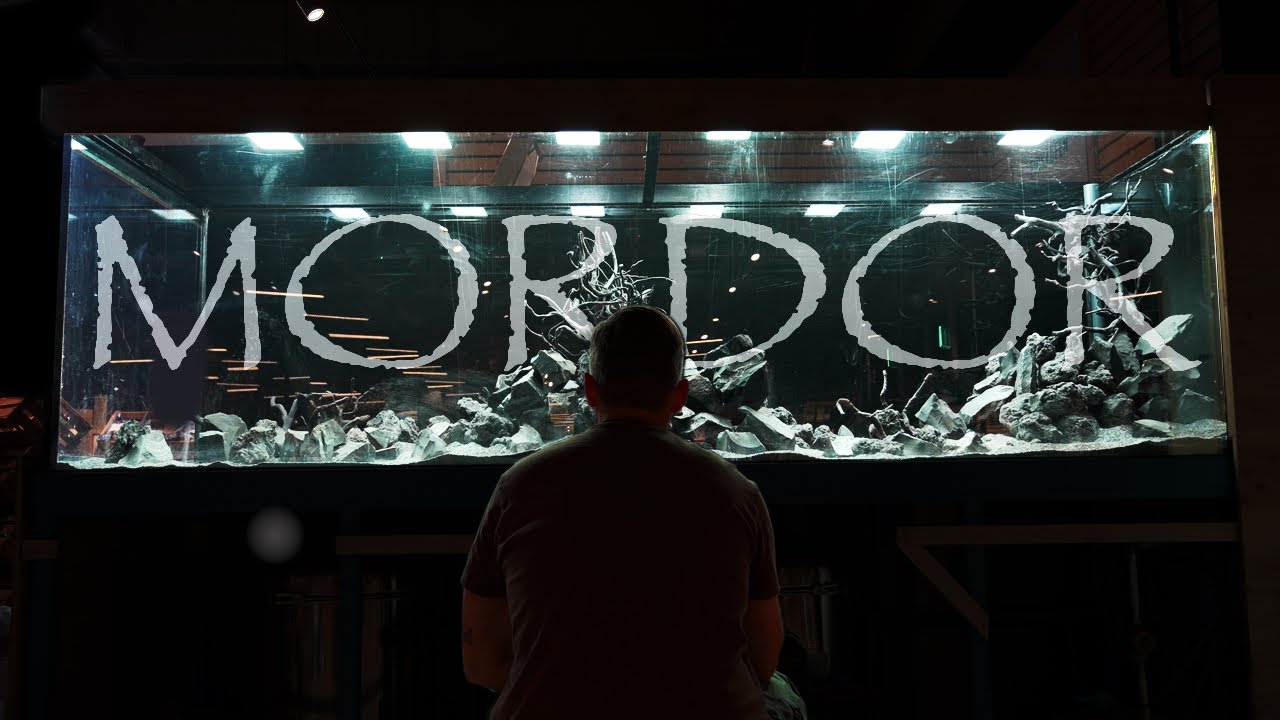 Wenn SAURON bei mir ein Aquarium bestellen würde... Neues Showbecken im @Kölle Zoo Reutlingen!!