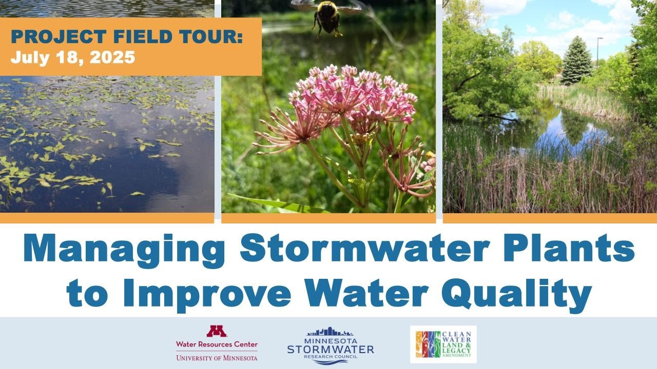 Managing Stormwater Plants