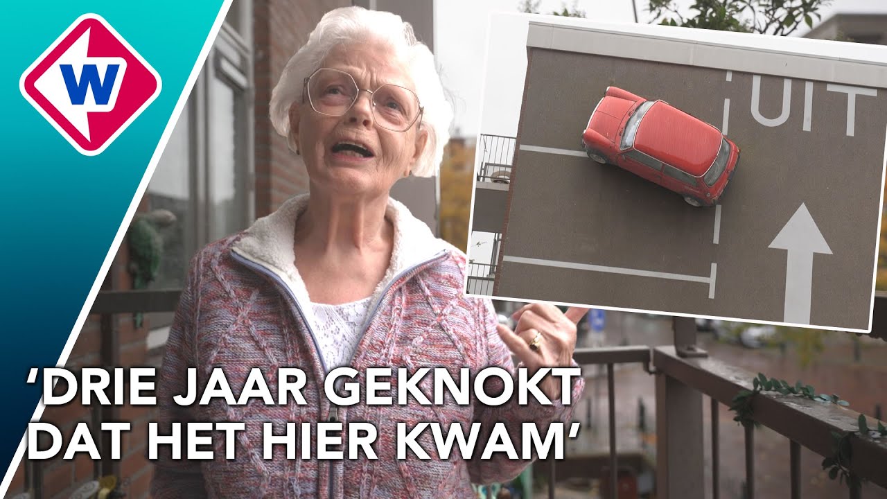 Bijzonder kunstwerk al jaren blikvanger in Haagse Schilderswijk | Wat een verbeelding