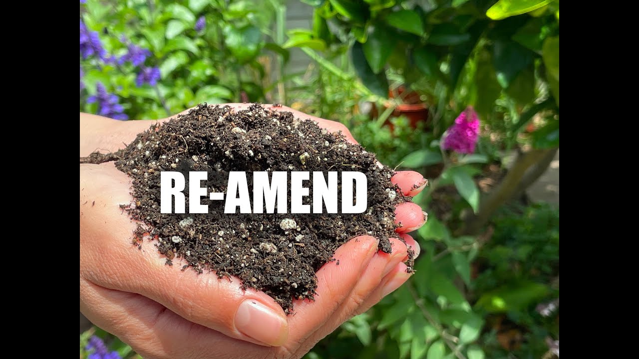 Re-Amend Old Used Potting Soil with these (4) Organic Amendments